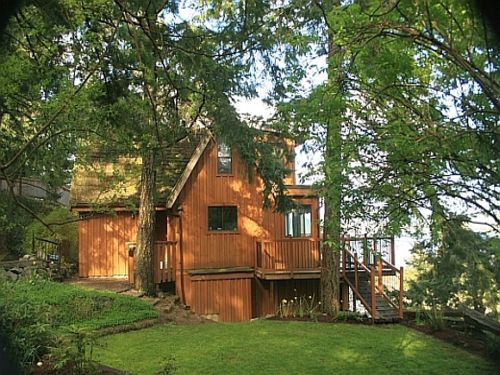 View of the cottage, nestled amongst the trees.