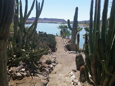 Pathway to Beach