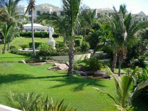 Lush green landscape, as a renter you have full access.