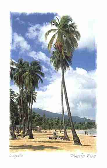 The Famous Luquillo Beach