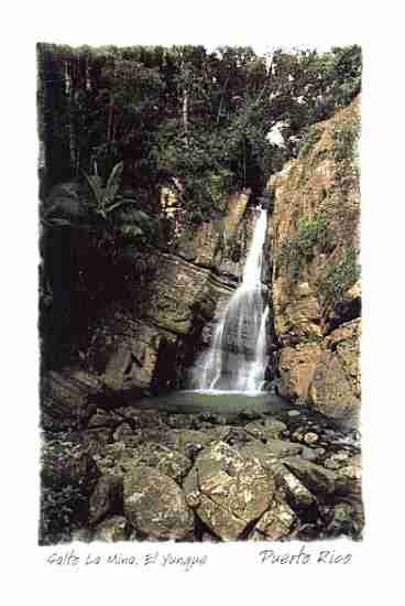 Le Mina Falls in El Yunque Rainforest