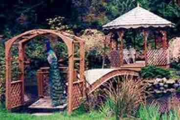 Picturesque Gazebo With Mr. Peacock