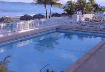 Pool & Ocean