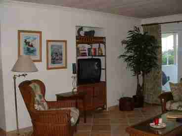 Living Room - Left Side