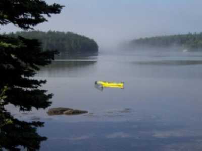 Sea mist is a regular visitor to the cove in early spring and early fall. This view is from the meadow at the edge of the cottage lawn. 