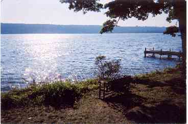 Looking south from the cottage toward Ithaca.  The buildings of Cornell can be seen between the tree branches.