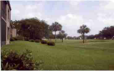  view from porche