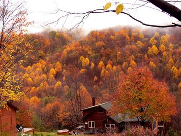 Fall colors