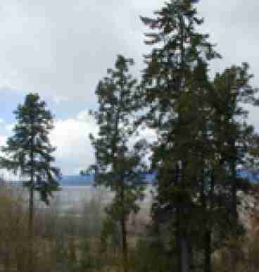 Flathead lake is visible from the livingroom, deck and master bedroom.
