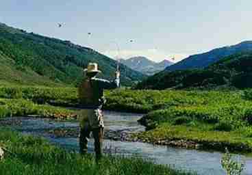 Fly Fishing
