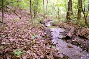 Wet weather stream