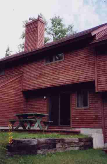 Quiet backyard w/deck, picnic table