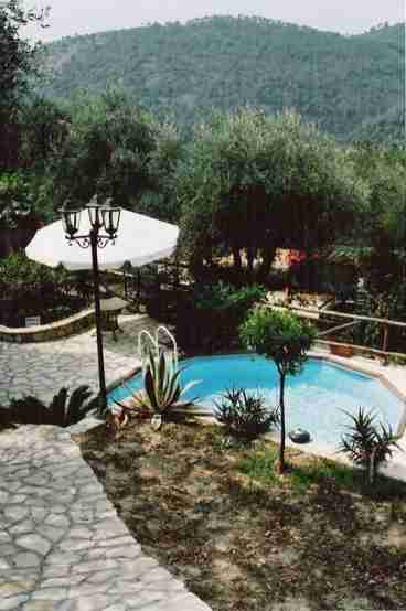garden near pool