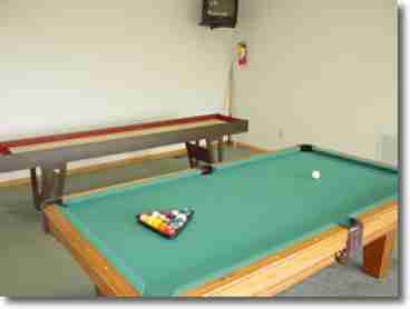 Shuffle Board & Pool Table