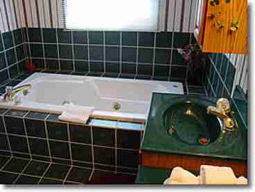 Jacuzzi in Master Bath