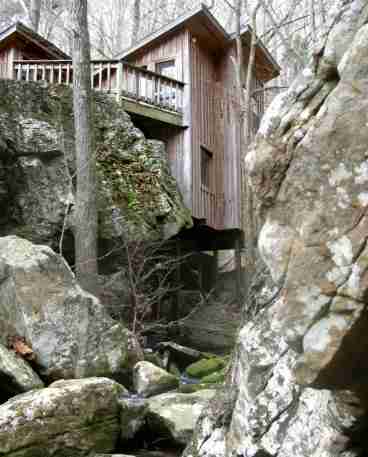 Bushmaster is perched above a flowing mountain stream