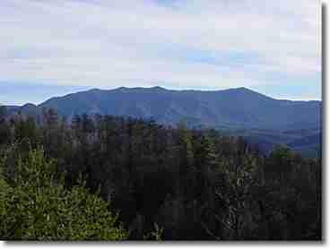 View 1