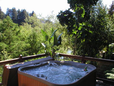 View Riverfront Wildlife, Flowers, Stars from New Large Spa.