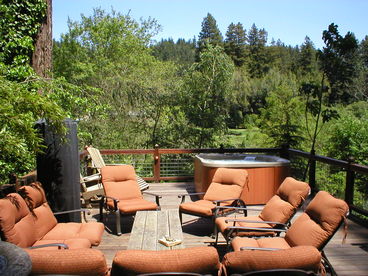 Huge Decks Have Outdoor Living Set, New Spa, Gas and Charcoal BBQs, Fountain, Octagonal Dining Table, Shaker Cedar Set