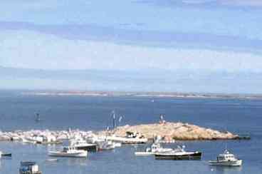 View From Decks