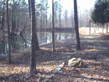 Pond Area