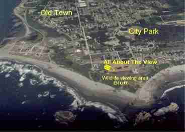 Coquille Point