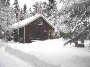 Winter Scene