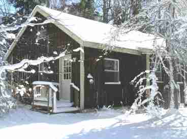 Winter Scene