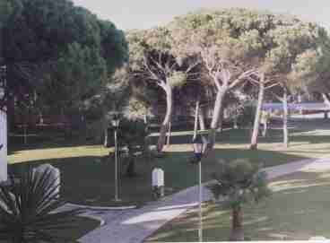 VIEW FROM APARTMENT