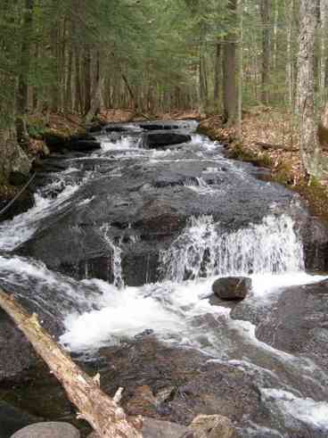 Falls Brook Yurt Rentals