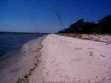 Beach at SAndy Shores