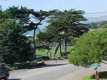 View of Shamel Park from Main deck