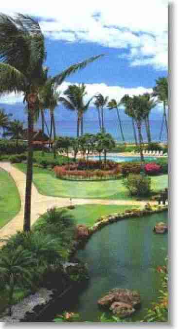 tropical gardens