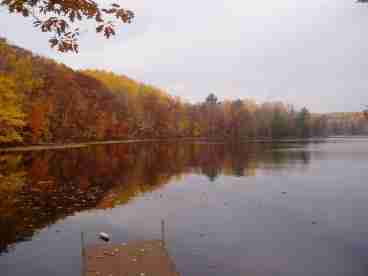 Great Fall Colors