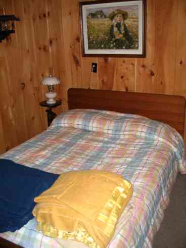 Downstairs bedroom