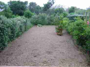 Ground Floor - Garden