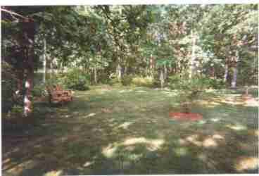 part of yard