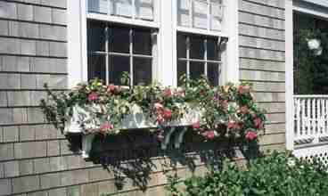 Flower Box