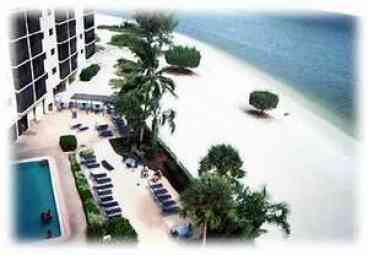 View from Deck

