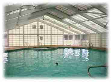 Huge Pool with attached Hot tub