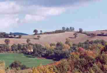 In Autumn at the Locanda you can find great views, mild temperatures and truffles from our woods
