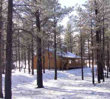 Bar S Arizona Cabin @ Bison Ranch