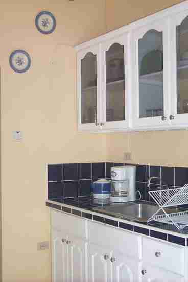 Fully equipped kitchen with microvave, fridge, blender, coffee maker, and electric stove.