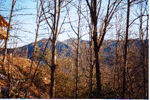Porch View - 1
