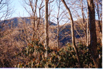 Porch View - 2