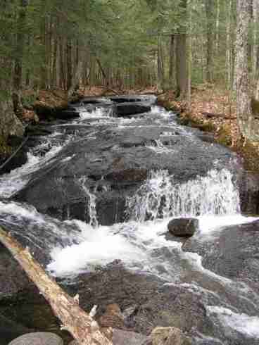 Falls Brook Yurts