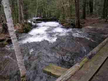 Falls Brook Yurts