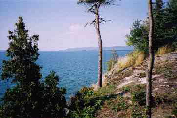 Enjoy this breathtaking view from the cottage!