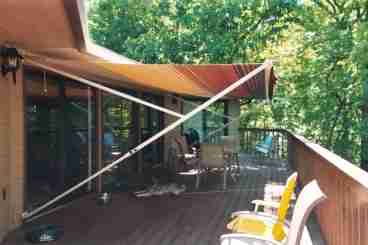 Watch the deer below and listen to the birds in the treetops