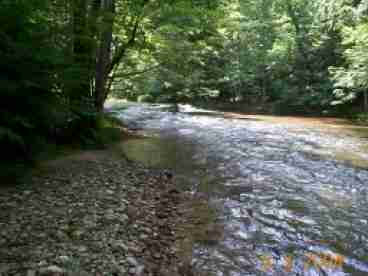 Cosby Creek